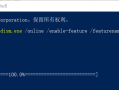 Win10神州网信政府版开启摄像头、麦克风权限