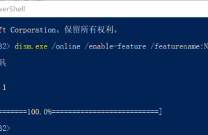 Win10神州网信政府版开启摄像头、麦克风权限