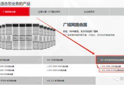 网络之路6：H3C MSR810-W的高级设置简介