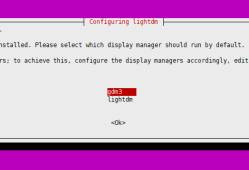 Ubuntu12-Ubuntu24 安装Xfce图形界面