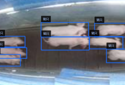 智慧猪场AI解决方案