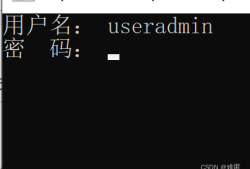 电信中兴光猫ZXHN F650超管密码获取工具