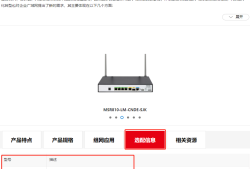 网络之路6：H3C MSR810-W的高级设置简介