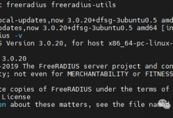 免费又专业！FreeRADIUS对接H3C无线网络，完美实现Portal认证