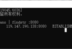 如何设置Windows 10 神州网信政府版防火墙规则