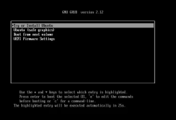 Ubuntu 24.04 LTS 桌面版安装问题记录