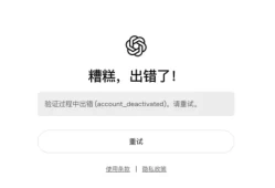 从"0元购"到"印尼退款流"：Open AI都暴露了哪些支付漏洞？