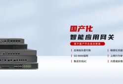 三年之后,Panabit派网2.5G国产化纪念版网关AX51来了