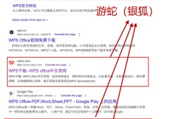 “游蛇（银狐）”黑产密集仿冒各类流行应用：WPS下载站打假专辑