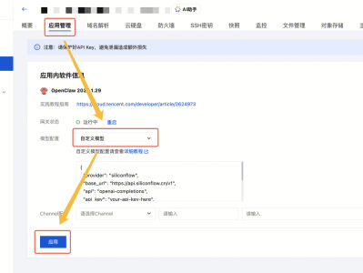  腾讯云轻量应用服务器如何接入自定义大模型