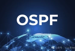 华为系OSPF核心配置与查看命令