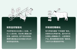 一套方案双效赋能！TP-LINK助力安徽利辛300亩万牛养殖场安防、广播智能化<strong>升级</strong>