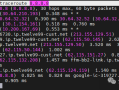 速速收藏！这么详细的traceroute命令介绍你见过吗？
