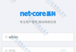 磊科NBR系列企业路由器为什么没有”策略路由”/”网络安全”/”行为管理”等功能？