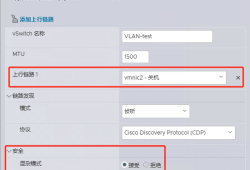 从SRv6到Panabit测试：揭秘ESXi虚拟交换机VLAN 0-4095的终极用法
