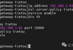 实测确认！H3C MSR810路由器自带SSL VPN授权，免费搭建远程接入就这么简单