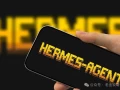 裸装Hermes = 残废版！这5个工具装完，才算真正上线