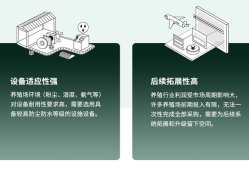 一套方案双效赋能！TP-LINK助力安徽利辛300亩万牛养殖场安防、广播智能化<strong>升级</strong>