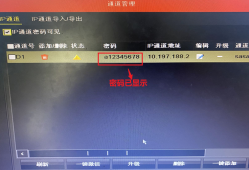 在<strong>海康威视</strong>硬盘录像机上查看IP通道摄像机的密码教程