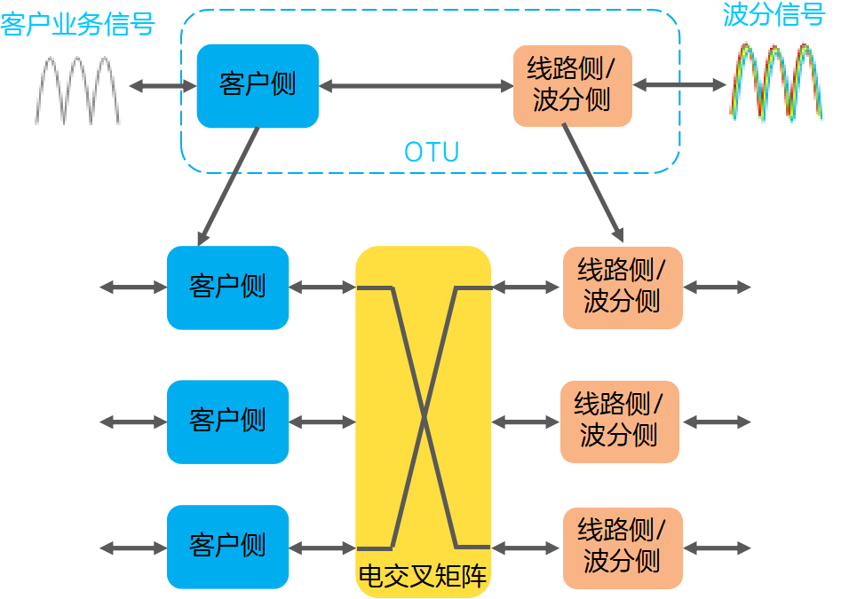 网络数据的大容量传输技术——WDM/OTN，你了解吗？