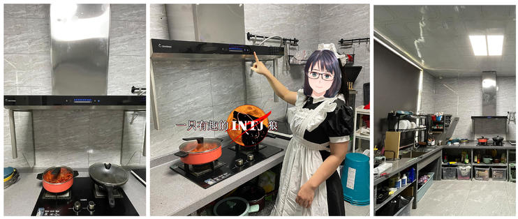 [INTJ狼测评]篇八：气旋除味油烟机，开放式厨房的神器