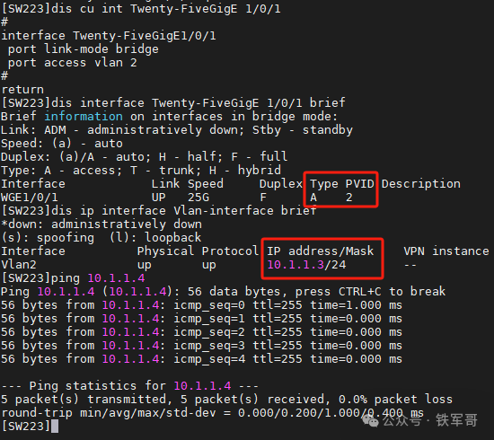从SRv6到Panabit测试：揭秘ESXi虚拟交换机VLAN 0-4095的终极用法