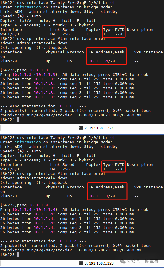 从SRv6到Panabit测试：揭秘ESXi虚拟交换机VLAN 0-4095的终极用法