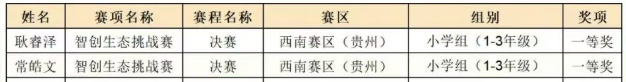 2025全国青少年信息素养大赛总决赛-一等奖名单
