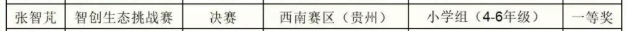 2025全国青少年信息素养大赛总决赛-一等奖名单