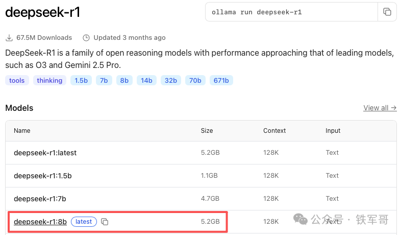 Mac mini M4运行DeepSeek-R1实测:两步搞定,效率惊人!