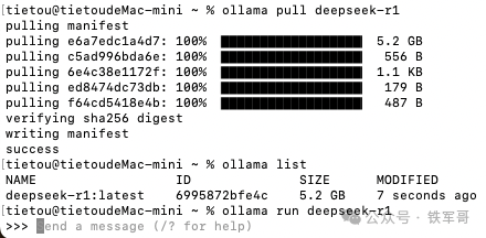 Mac mini M4运行DeepSeek-R1实测:两步搞定,效率惊人!
