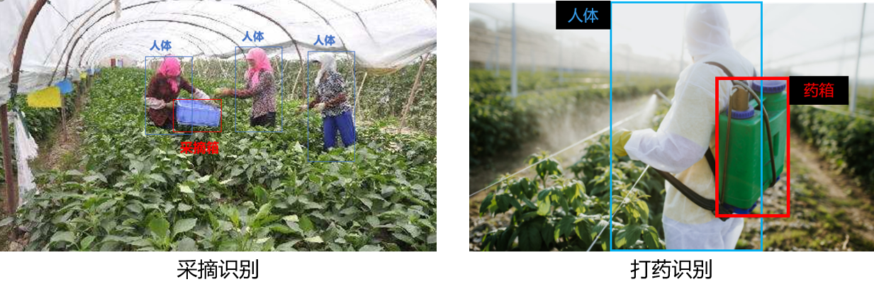 农业场景视频AI智能感知应用方案