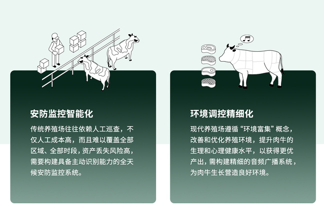 一套方案双效赋能!TP-LINK助力安徽利辛300亩万牛养殖场安防、广播智能化升级