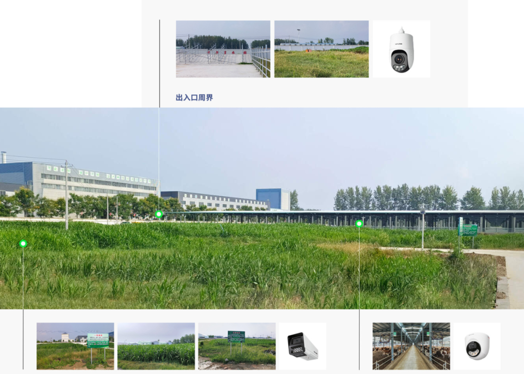 一套方案双效赋能!TP-LINK助力安徽利辛300亩万牛养殖场安防、广播智能化升级