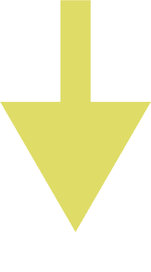 事关职业技能证书互通互认,新规速看→