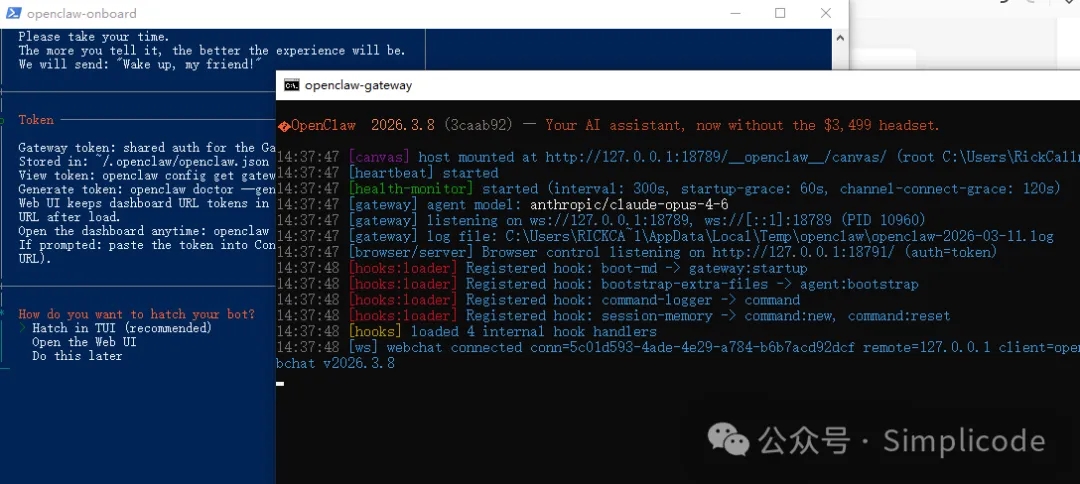 windows系统最小化部署openclaw小龙虾教程  第8张