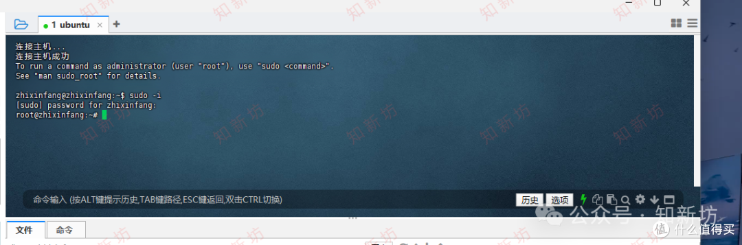 飞牛虚拟机部署 Ubuntu 环境:安装1panel和宝塔web