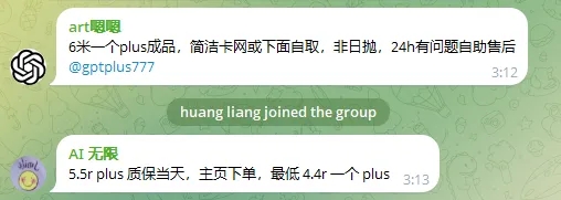 从"0元购"到"印尼退款流"：Open AI都暴露了哪些支付漏洞？  第3张