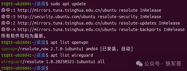 Ubuntu 26.04桌面版部署教程  第34张